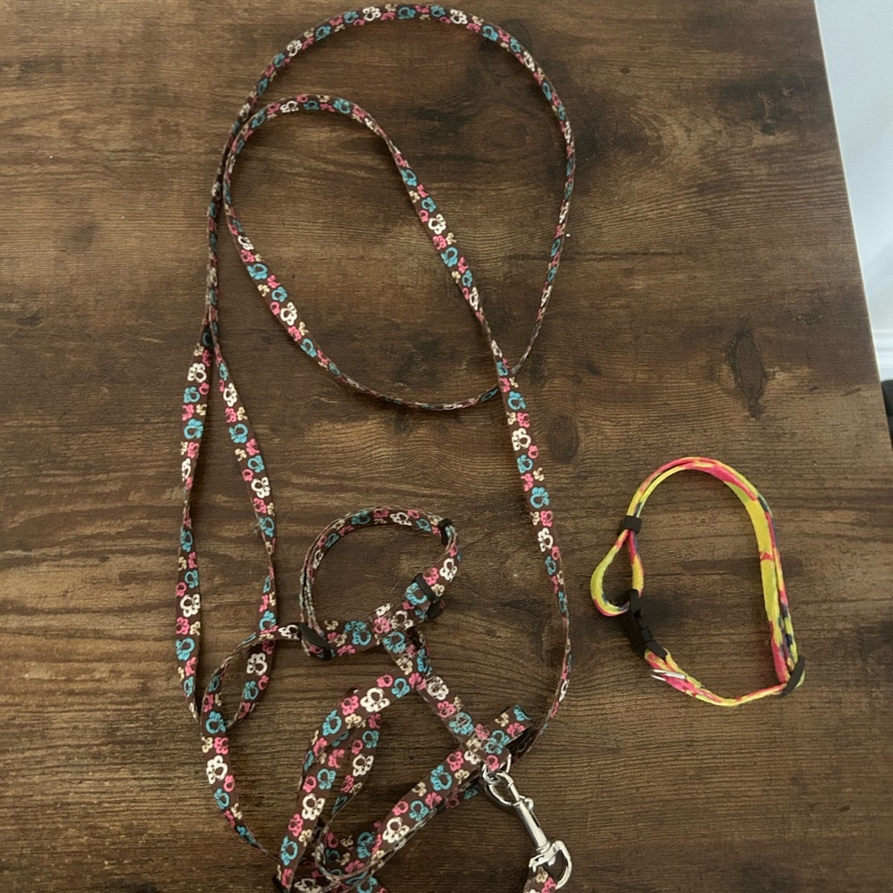 Floral cat-kitten Harness and leash Set